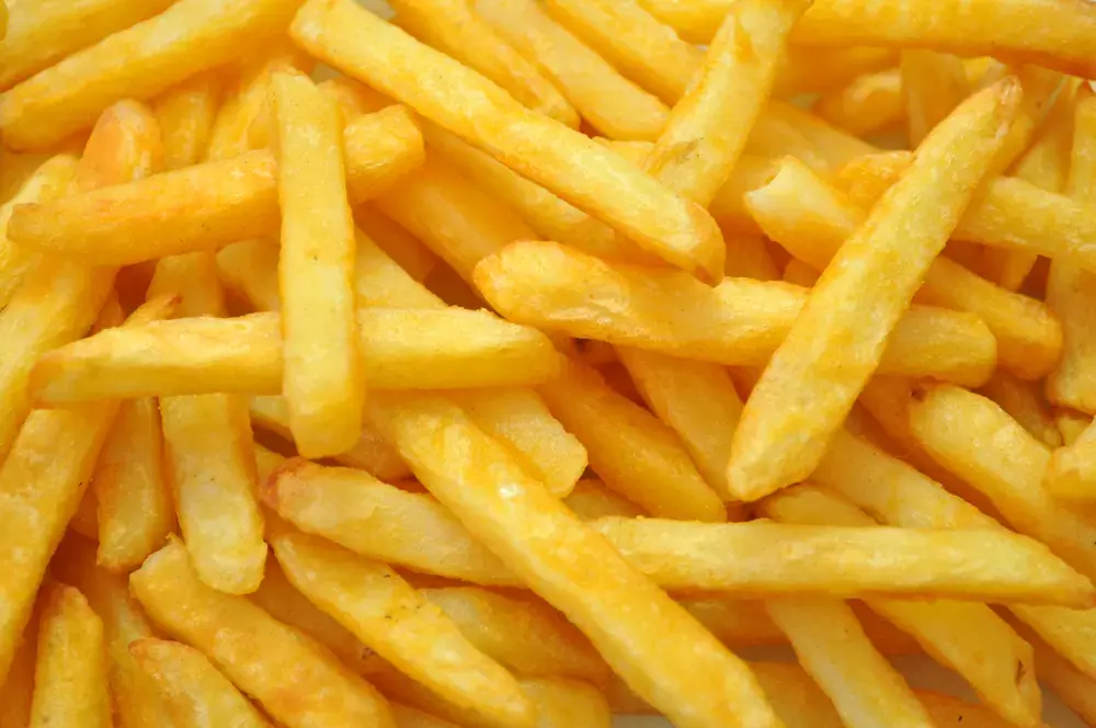 Choisir friteuse