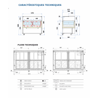 Vitrine comptoir a glace delta 4303